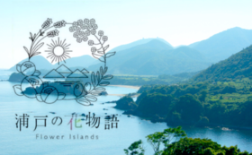 浦戸諸島めぐりツアーにご招待します！
