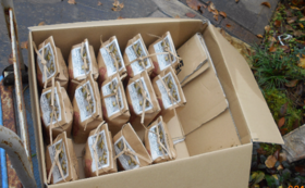 A17c9aaa61e80a1bf71d0d850af4e5baa9800bbd