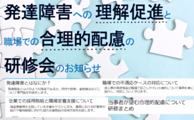 【3万円コースA】DVD２種類セット＋チラシに広告を掲載させていただきます。