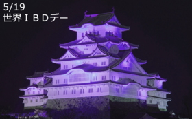 【リターン不要の方へ〜3,000円】姫路城に光を！