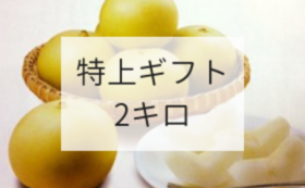 世紀 ちがうけん 21世紀梨ブランディングプロジェクト始動 小林秀大 こばやし農園 梨王子 18 10 15 公開 クラウドファンディング Readyfor レディーフォー