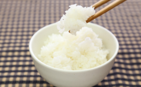 開業祝い！新潟県産のお米を送ります！【3万円】