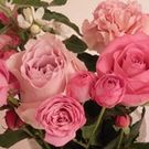 すがわら ゆりこ