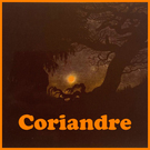Coriandre