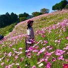 川上 悦子