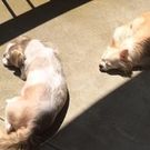 わたなべ みのり