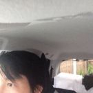 しおた のりひで