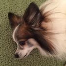 もと きかい　甲斐素樹