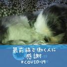 Sayoko Okada Yamaguchi