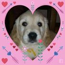 ハッピー エンジェル