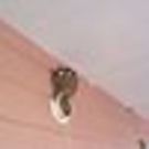 清田麻衣子里山社