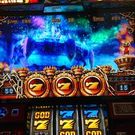 mz61731019@gmail.com