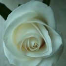 ヤマト コウイチロウ