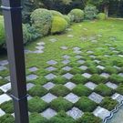 てらおか まゆみ