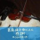 音道楽者 マリノル