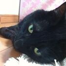 宇野 睦（山城ガールむつみ）