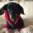 イシダ ノブユキ