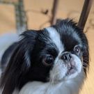 ryouma.chin.3236@gmail.com