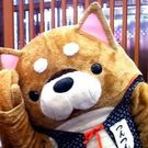 アリマカズナリ