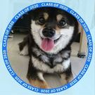 あすとび まどか