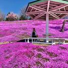 Natsuko Kirita Yasuda