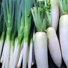 うっかり 八兵衛