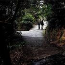 のぶはら わかえ