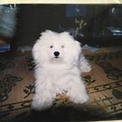 きんじょう けいた