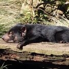 粟津 中村 みちる