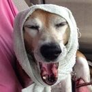 佐野隆広（タカラ～ム）