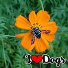 堀田 徳永 友美