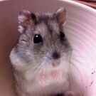 Kei Yamashita（かんくろ）