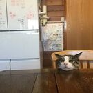 トレーニングジムforce