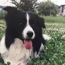 ナカムラ（主水）