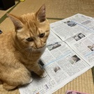 ちゃみ'sキッチン