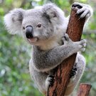 有限会社キャッスル