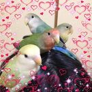 Miyanaga Nonami Ayumi