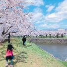 しみず きょうこ