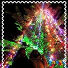 shin.0625.yuki.0505@docomo.ne.jp