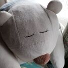 Noriko Terajima Noriko