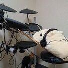 オオサカンユーベルママブラス