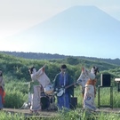 夜の踊り子をこよなく愛する11匹の魚