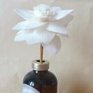 ツハコ　エリナ