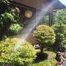 スローフード 橙