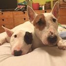 ハンナロッタママ