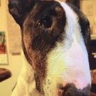 ふるかわ わかこ