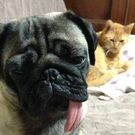 マイケル キス子