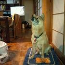 中橋健太郎左衛門