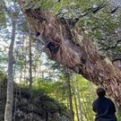 キムラ ヨウイチ