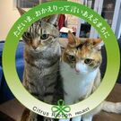 にゃん太郎　にゃん美